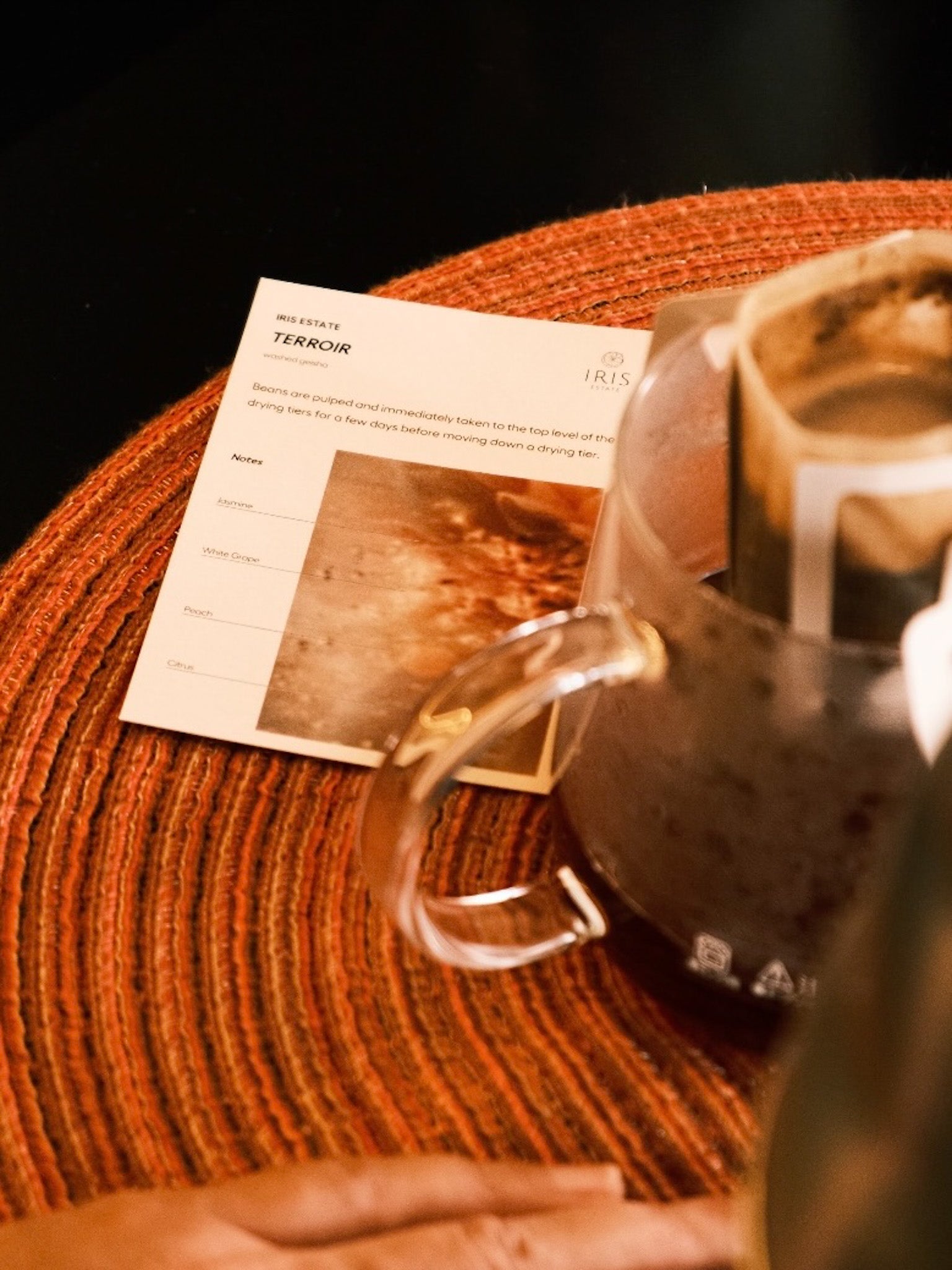 Iris Estate 2025 | Drip Bags - Cloud Catcher Roastery