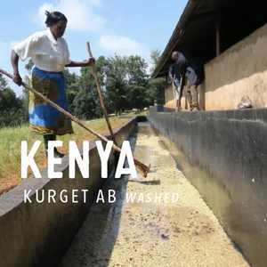 Kenya Kurget AB - Washed - Cloud Catcher Roastery