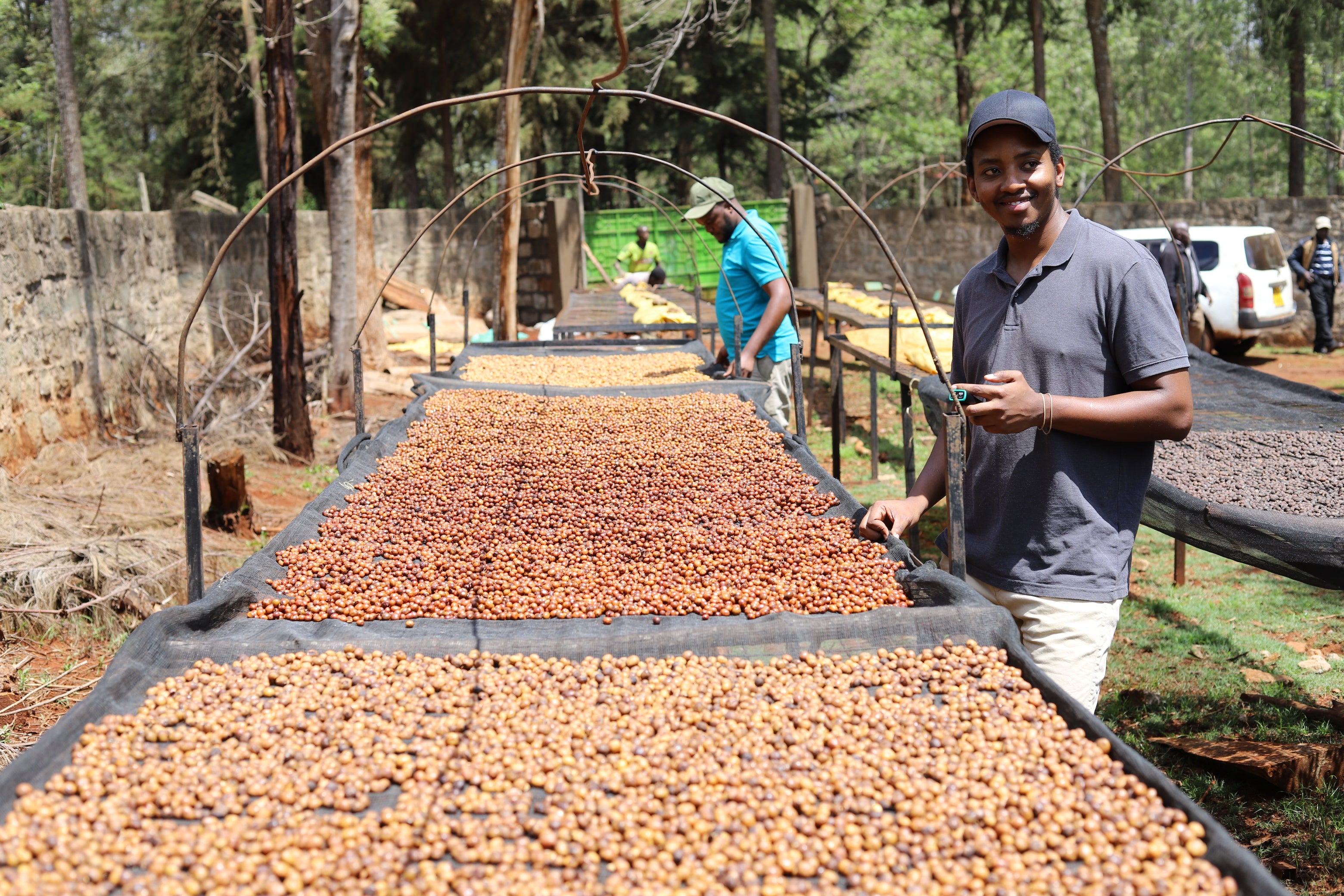 Coffee farmer