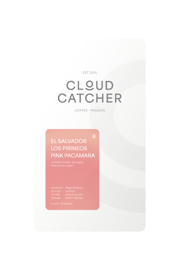 Cloud Catcher Roastery El Salvador Los Pirineos Pink Pacamara - Washed – specialty coffee beans Malaysia