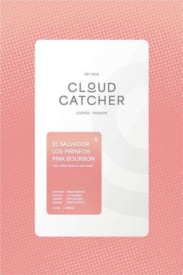 El Salvador Los Pirineos Pink Bourbon - CM Washed