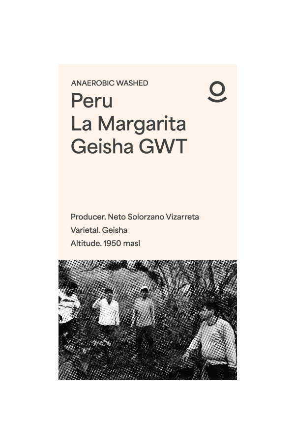 Peru La Magarita Geisha Lot GWT (Green Beans) - Cloud Catcher Roastery