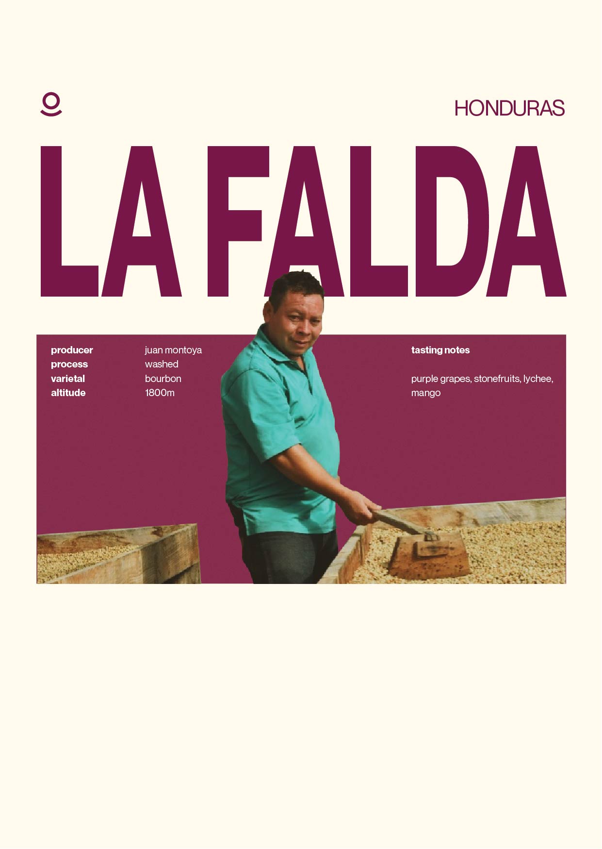 Honduras La Falda (Green Beans) - Cloud Catcher Roastery