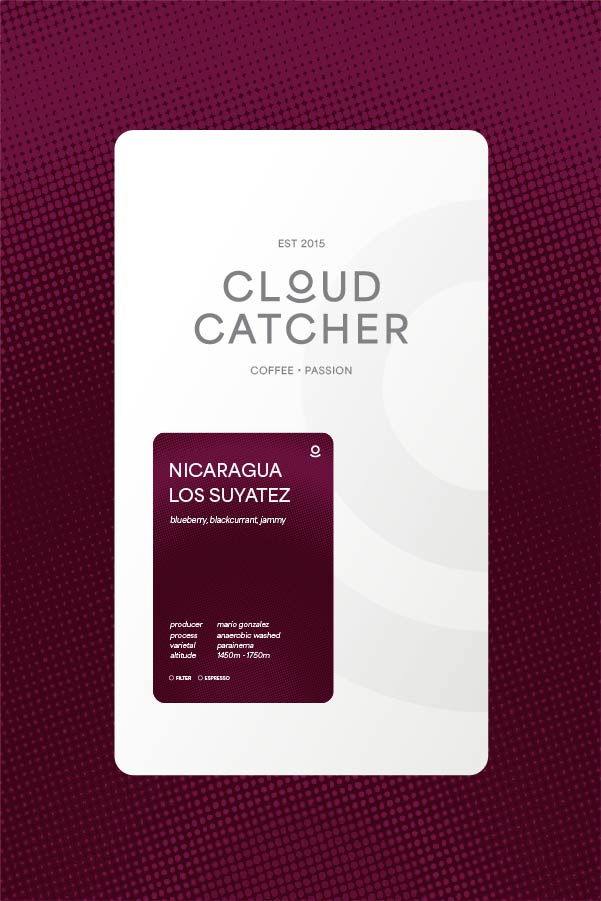 Nicaragua Los Suyatez - Anaerobic Washed - Cloud Catcher Roastery