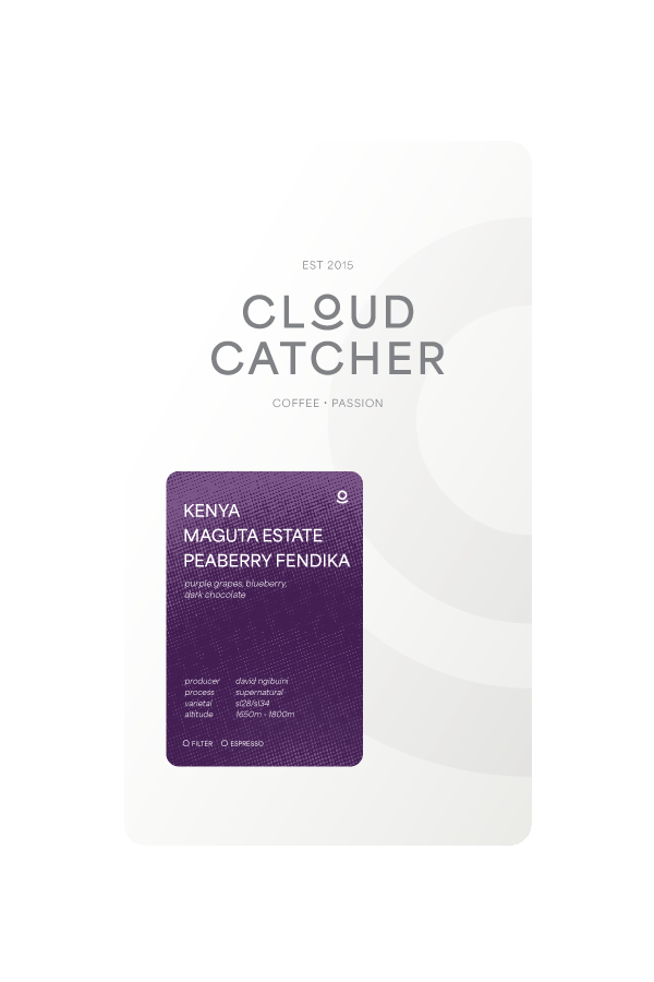Cloud Catcher Roastery Kenya Maguta Estate Peaberry Fendika - Supernatural – specialty coffee beans Malaysia