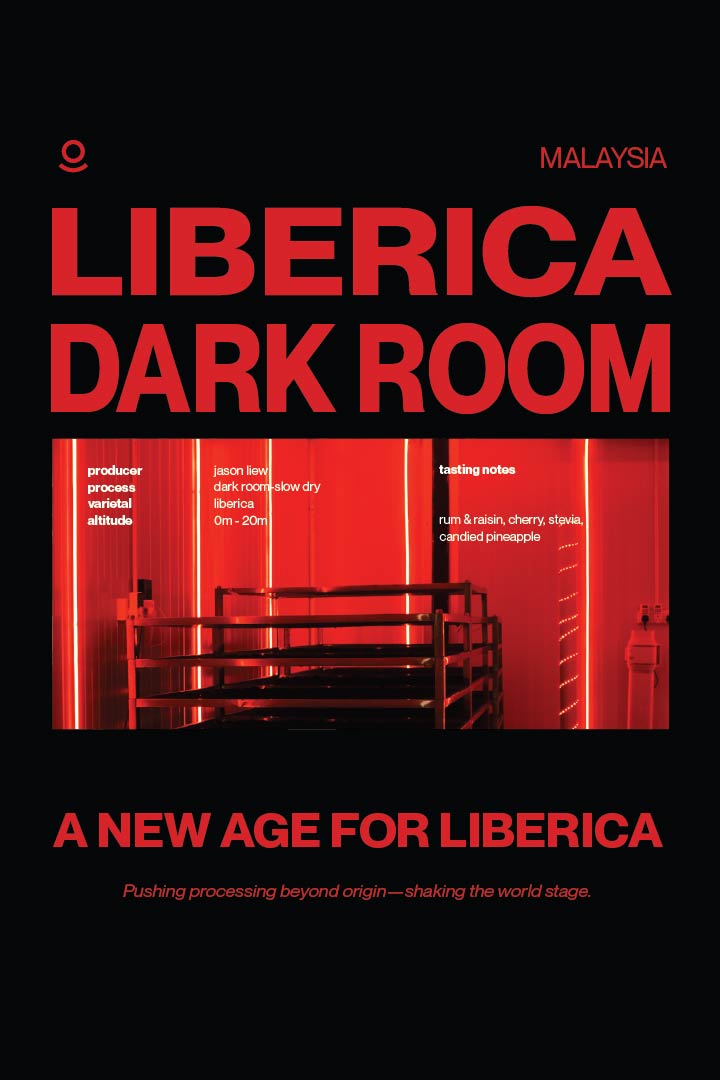 Cloud Catcher Roastery Malaysia Liberica Dark Room - Anaerobic Slow Dry – specialty coffee beans Malaysia