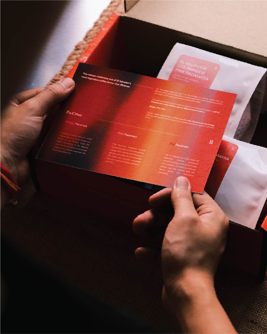 Pacamaras of Los Pirineos: Orange · Pink · Red [3x100g Set] - Cloud Catcher Roastery
