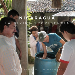 Nicaragua La Divina Providencia Jasper Lot 864 - Cloud Catcher Roastery