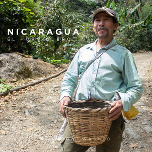 Nicaragua El Hormiguero - Washed - Cloud Catcher Roastery