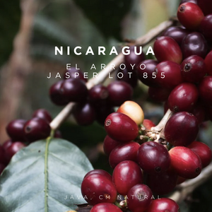 Nicaragua El Arroyo Java Jasper Lot 855 - CM Natural - Cloud Catcher Roastery