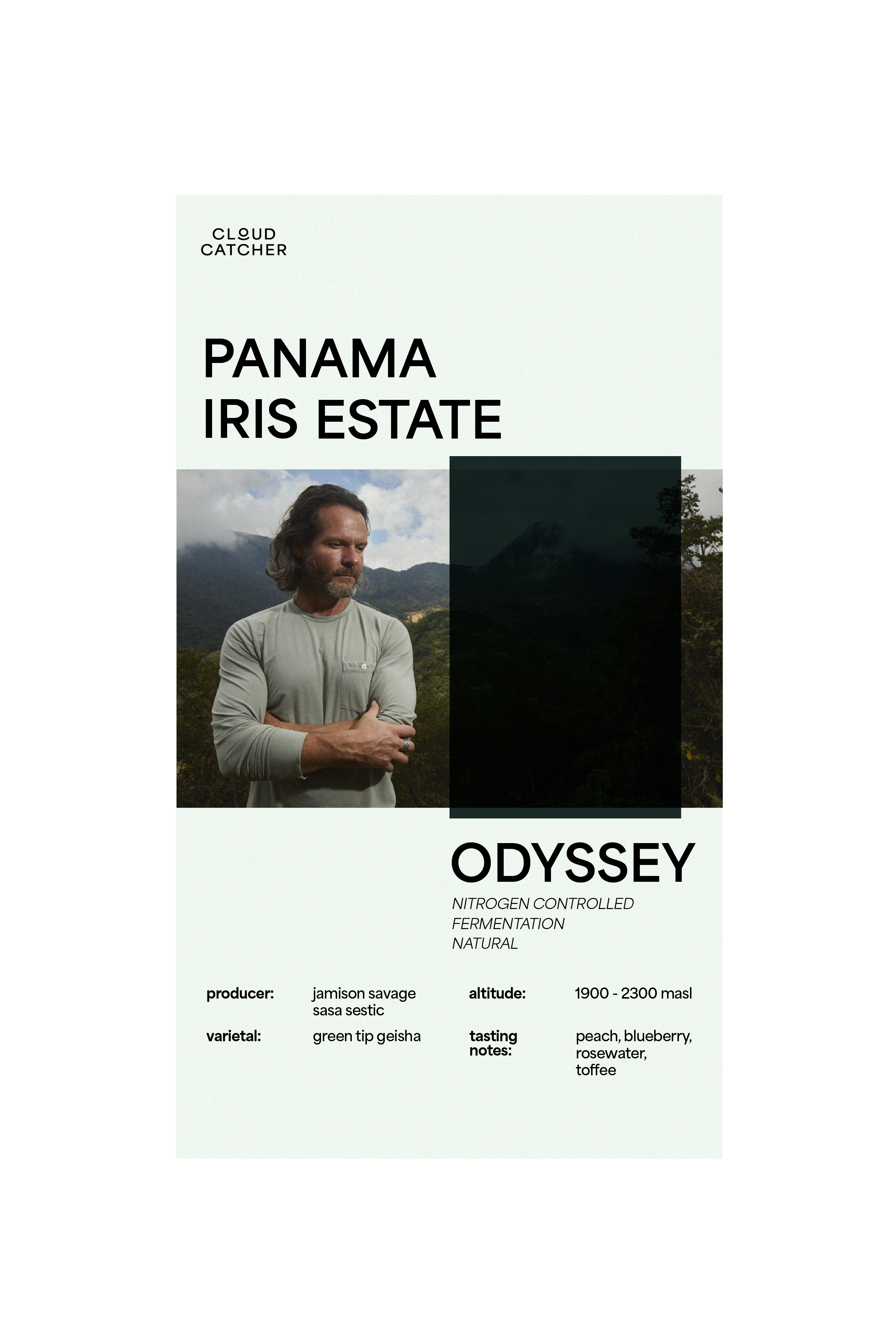 Iris Estate Odyssey (Green Beans)