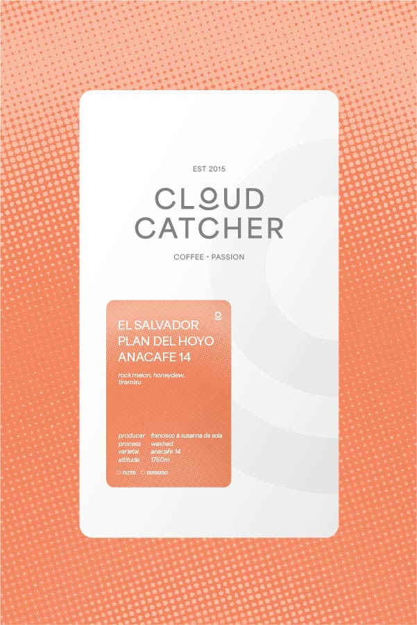 El Salvador Plan del Hoyo Anacafe - Washed - Cloud Catcher Roastery