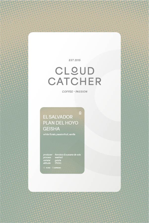 El Salvador Plan del Hoyo Geisha - Washed