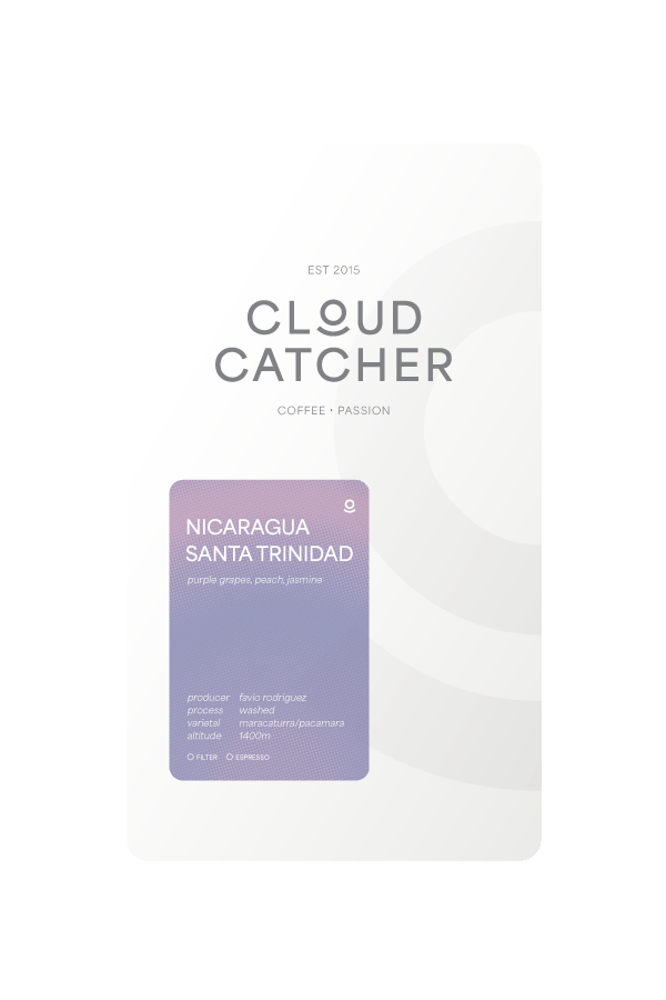 Cloud Catcher Roastery Nicaragua Santa Trinidad - Washed – specialty coffee beans Malaysia