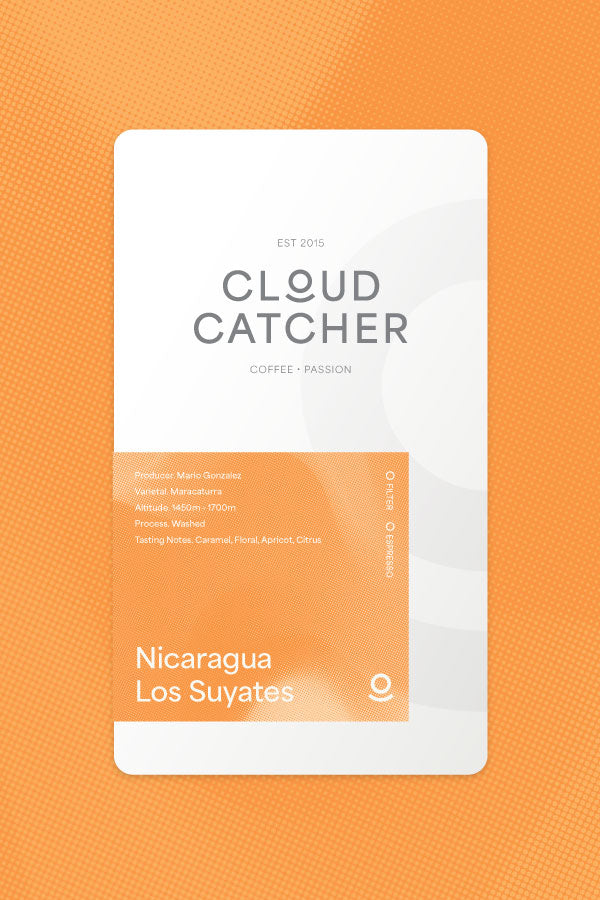 Nicaragua Los Suyates - Washed