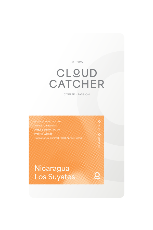 Nicaragua Los Suyates - Washed