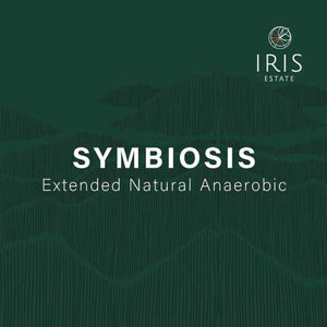 Iris Estate - Symbiosis (Extended Anaerobic Natural)