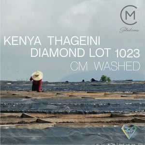 Kenya Thageini Diamond Lot 1023 - CM Washed - Cloud Catcher Roastery