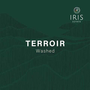 Iris Estate - Terroir (Washed)