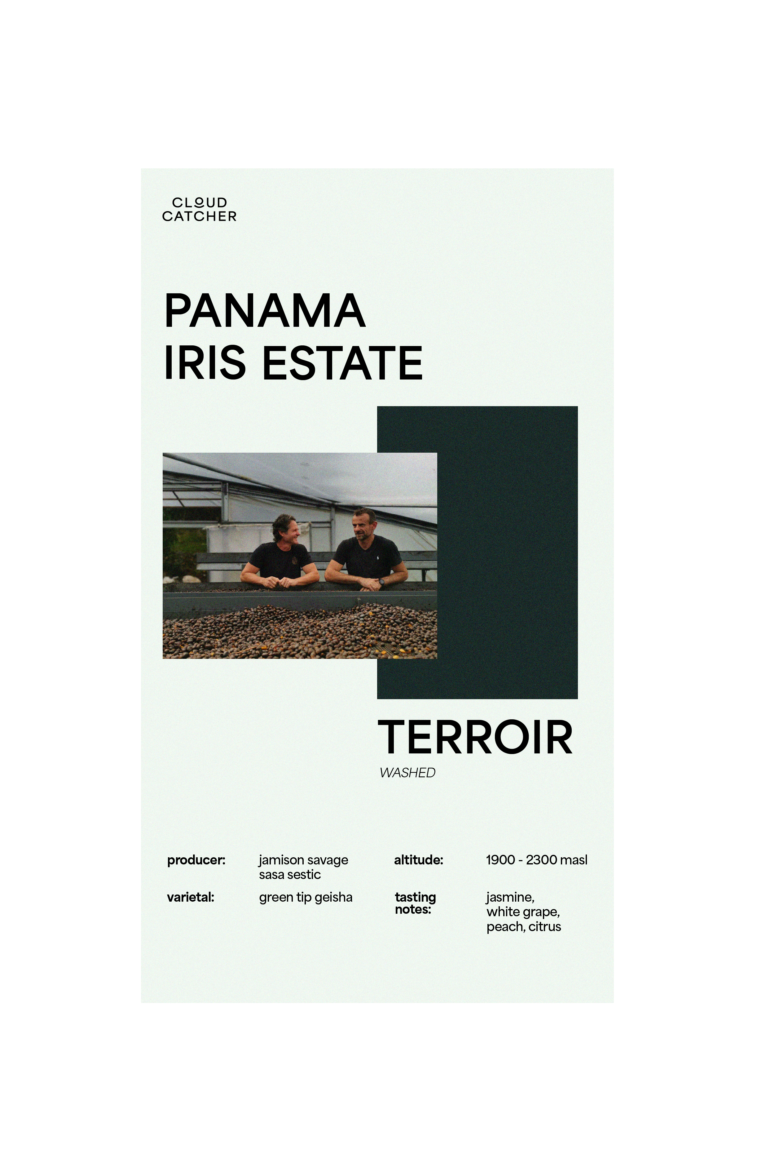 Iris Estate Terroir (Green Beans)