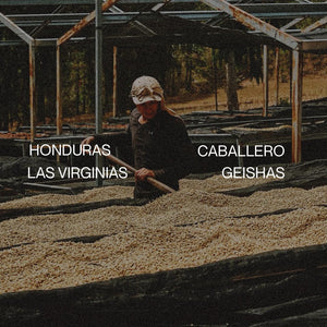 Honduras Caballero Las Virginias - Geisha