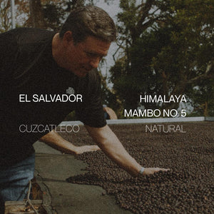 El Salvador Himalaya Mambo No. 5 - Natural