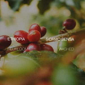 Ethiopia Sidamo Bensa -  Natural