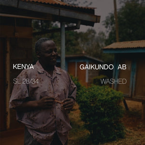 Kenya Gaikundo AB - Washed