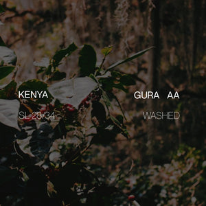 Kenya Gura AA - Washed