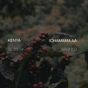 Kenya Ichamama AA - Washed