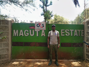 Kenya Maguta Estate Indigo Lot 1823 - Cloud Catcher Roastery