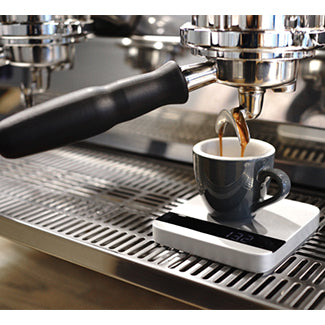 Monthly Subscription - Cloud Catcher Coffee Roastery 