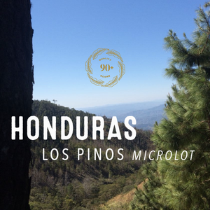 Honduras Los Pinos (Microlot) - Honey - Cloud Catcher Roastery