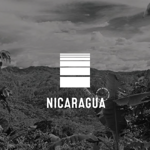 ELEVATE: Nicaragua El Árbol and San José CM - Cloud Catcher Roastery