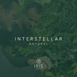 Iris Estate - Interstellar (Natural) - Cloud Catcher Roastery